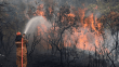 AB yaz yaklaşırken orman yangınlarının önüne geçmeye hazırlanıyor