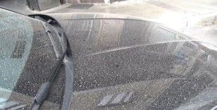 İzmir’de toz taşınımlı hava etkili oldu, araçlara çamur yağdı
