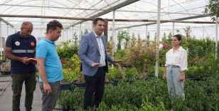 Başkan Tezcan park-bahçe düzenleme çalışmalarını inceledi
