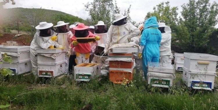 Erzincan’da kadınlar arı sütü üretecek
