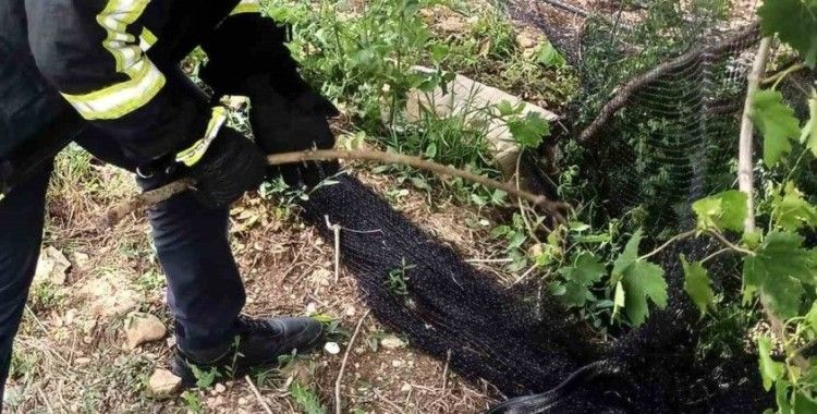 Yayladağ’da itfaiye ekipleri ağlarda mahsur kalan yılanı kurtardı
