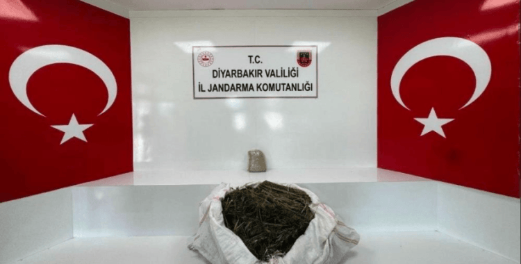 Diyarbakır'da 34 bin 500 kök kenevir ve 112 kilo esrar ele geçirildi