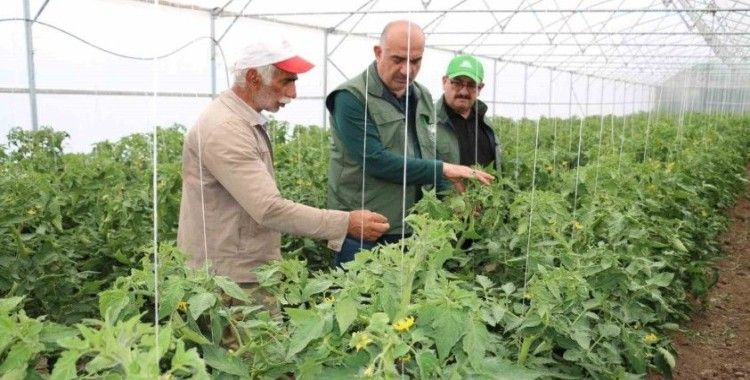 Erzincan son yıllarda yapılan yatırımların meyvelerini toplamaya başladı
