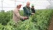 Erzincan son yıllarda yapılan yatırımların meyvelerini toplamaya başladı

