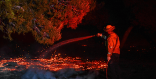 ABD'nin California eyaletinde çıkan yangında onlarca kilometrekarelik bitki örtüsü yok oldu
