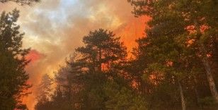 Bursa’daki orman yangını 50 dekarlık alanda etkili oluyor
