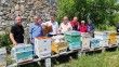 Kırklareli’nde "ana arı" dağıtımı
