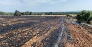 Çanakkale'de tarım alanında başlayan yangına havadan ve karadan müdahale ediliyor