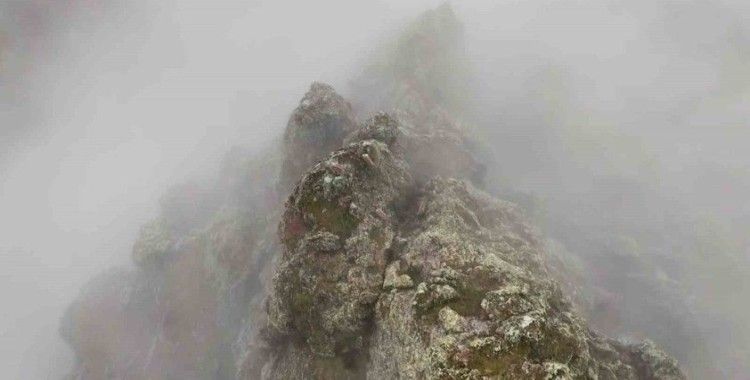 Sis bulutlarının ardındaki kayalıkları mesken tutan dağ keçileri mest etti
