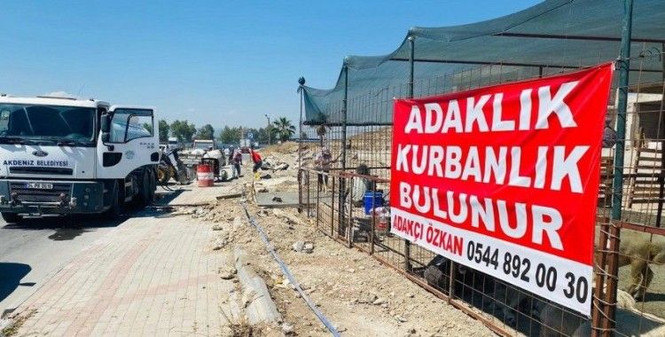 Akdeniz’de kurban kesim ve satış yerleri hazır
