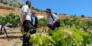 "Türkiye’de Tarıma Dayalı Sanayi’de Rekabet Gücünün Artırılması Projesi" faaliyetleri başladı
