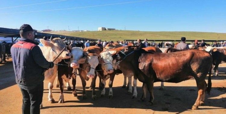 Bayburt’ta Kurban Bayramı heyecanı
