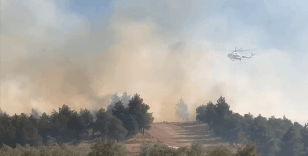 Pamukkale'de orman yangını çıktı