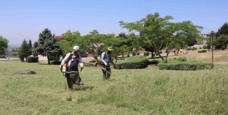 Bahçeşehir bölgesinde mesire alanları otlardan temizlendi
