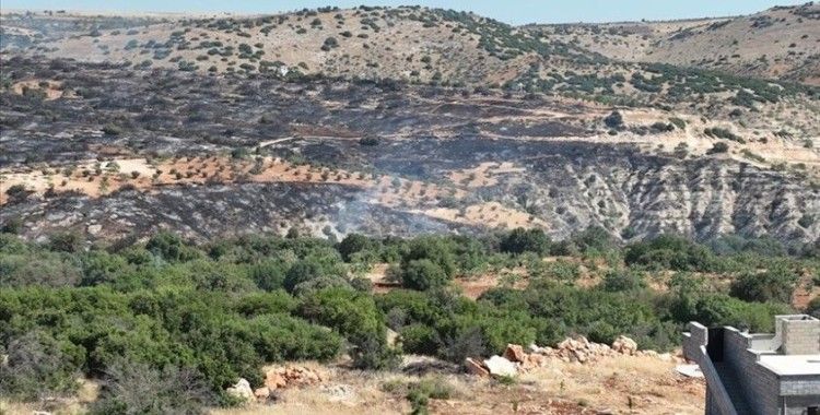 Gaziantep'te fıstık ve zeytin bahçelerinde çıkan yangın kontrol altına alındı