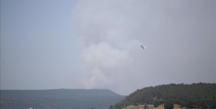 Çanakkale'de ormanlık alanda çıkan yangına müdahale ediliyor