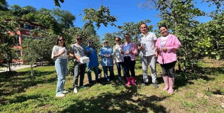 Giresun’da 17 bin 360 samuray arısı salımı yapıldı
