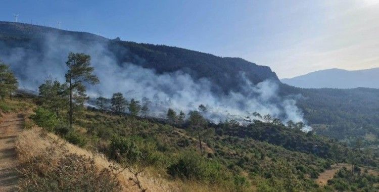 Mut'ta ormanlık alanda çıkan yangın kontrol altına alındı