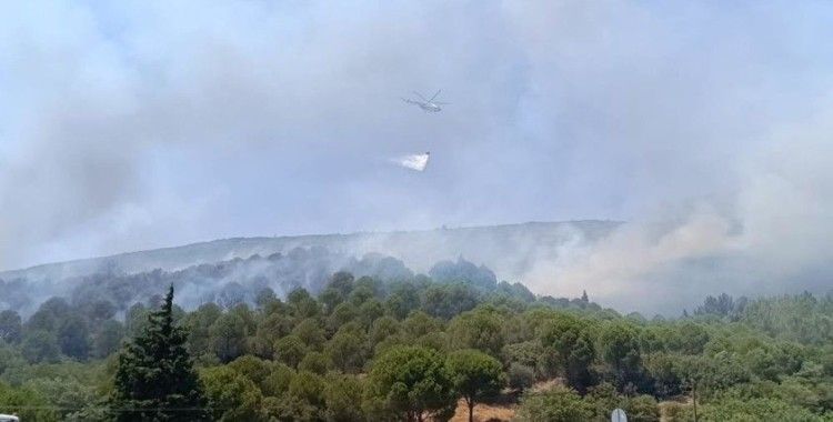 Bornova'daki orman yangını kontrol altına alındı