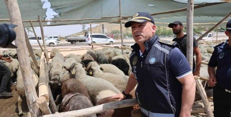 Gaziantep’te Kurban Bayramı öncesi sıkı denetimler sürüyor
