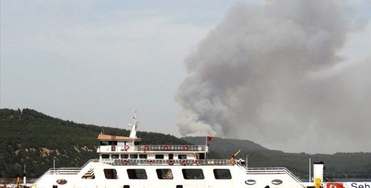 Çanakkale'de ormanlık alanda çıkan yangına müdahale ediliyor