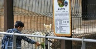 Büyükşehir Hayvanat Bahçesi, Kurban Bayramı’nda ücretsiz
