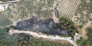 Manisa'daki orman yangını köye sıçramadan kontrol altına alındı