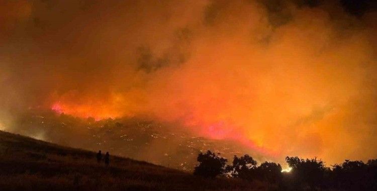 Bayındır’da korkutan yangın
