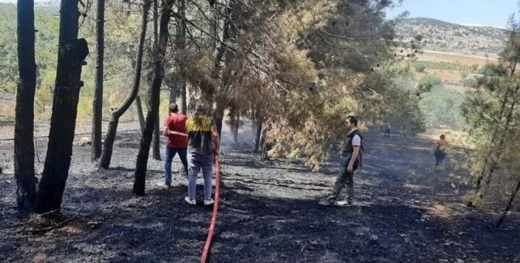 Denizli’de orman yangını kısa sürede kontrol altına alındı
