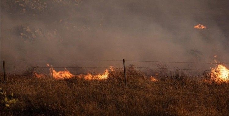 Los Angeles'ta çıkan orman yangınında 1200 kişi tahliye edildi