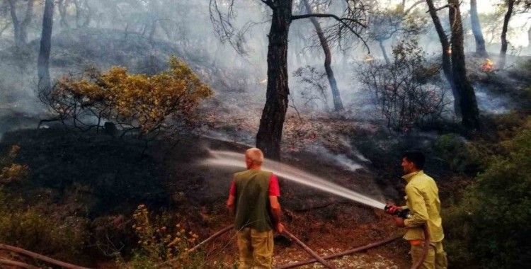İzmir Büyükşehir, orman yangınları için teyakkuza geçti
