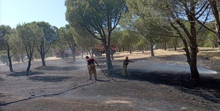İzmir'in Karaburun ilçesinde orman yangını çıktı