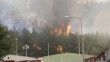 Gaziantep'te ormanlık alanda çıkarak barınma merkezine sıçrayan yangın kontrol altına alındı