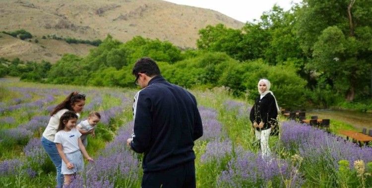 Çağlayan’ın ‘Mor’ bahçesine ziyaretçi akını
