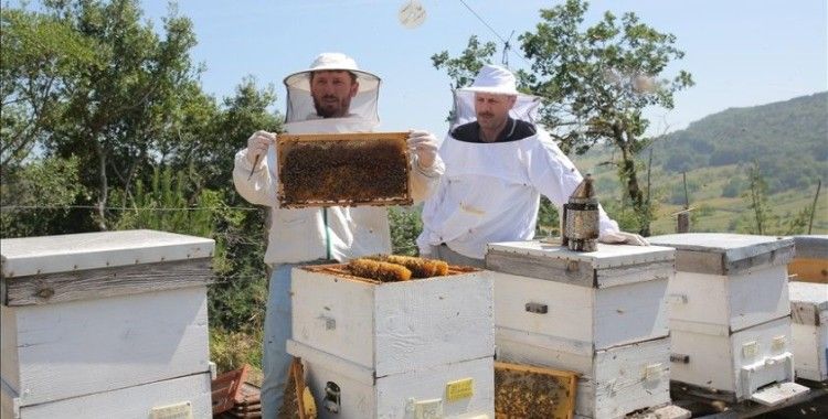 Babasının 'tek oğul'la başladığı arıcılıkta devlet desteğiyle 200 kovana ulaştı