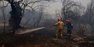 Yunanistan'da farklı noktalardaki orman yangınlarına müdahale edildi