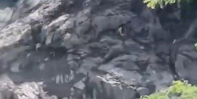 Hopa’da yamaçtan kopan kayalar seyir halindeki araca isabet etti: Karayolu ulaşıma kapandı
