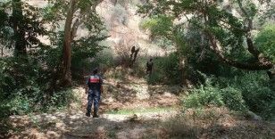 Ormanlık alanda mangal yakan 31 kişi cezadan kaçamadı

