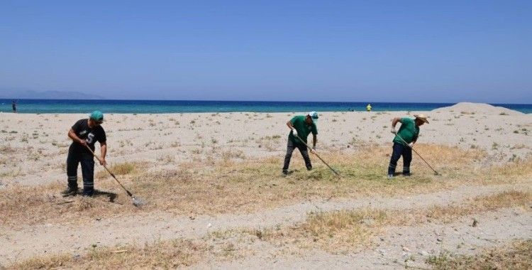 Kuşadası plajlarında detaylı bakım ve temizlik çalışması yapıldı
