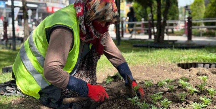 Sincan çiçeklerle donatıldı
