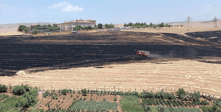 Siirt'te anız yangını çıkan alanlarda hasar tespiti tamamlandı