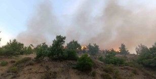 Kızılçam ormanında korkutan yangın
