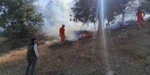 Bingöl’de iki ayrı bölgede çıkan yangınlar söndürüldü

