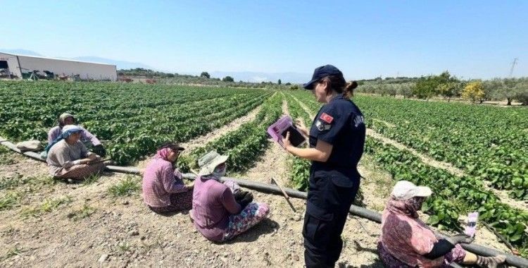 Tarım işçisi kadınlara KADES uygulaması yükletildi