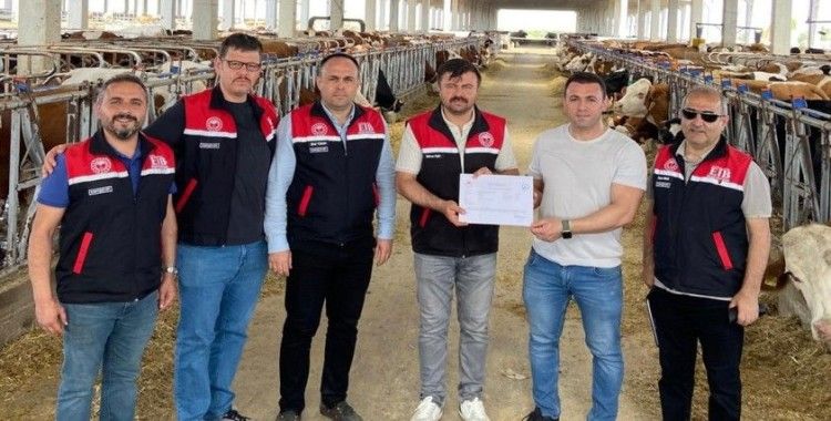 Eskişehir’de ari işletme sayısı genç yetiştiricilerle çoğalıyor
