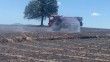 Balıkesir'de tarla yangını: 35 ton buğday kül oldu