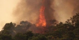 Datça'da orman yangınlarına karşı ek önlemler alındı