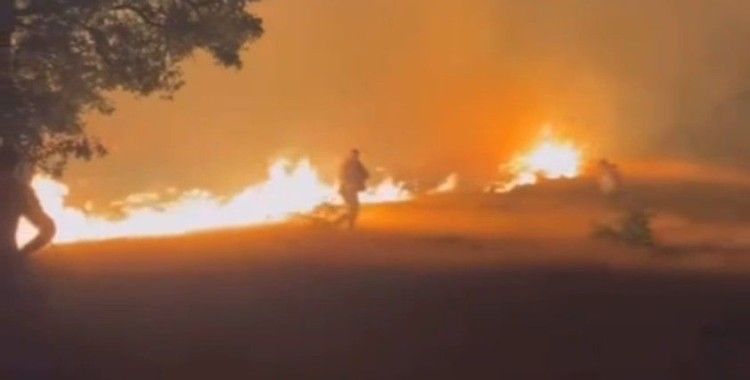 Malatya’da 14 saatte 89 örtü ve orman yangını çıktı
