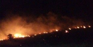 Malatya’da orman yangını
