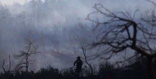 Atina'nın yaklaşık 50 kilometre uzağında çıkan orman yangınları kontrol altına alındı